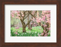 Framed Springtime Fairytale Cherry Tree
