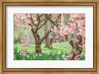 Framed Springtime Fairytale Cherry Tree