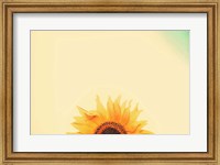Framed Sunflower Sunrise
