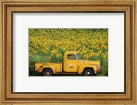 Framed Yellow Vintage Sunflower Truck