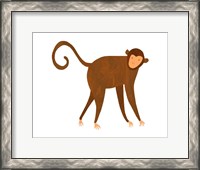 Framed Monkey