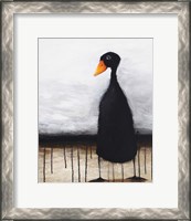 Framed Black Duck