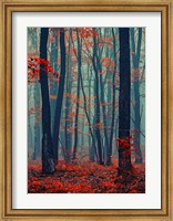 Framed Autumn Forest In The Mist