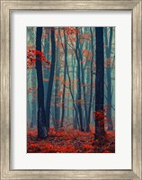 Framed Autumn Forest In The Mist