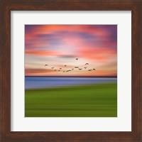 Framed Birds In The Sunset