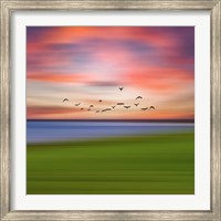 Framed Birds In The Sunset