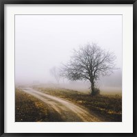 Framed Lonely Tree In The Mist