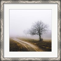 Framed Lonely Tree In The Mist