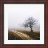Framed Lonely Tree In The Mist