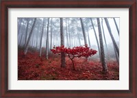 Framed Misty Autumn