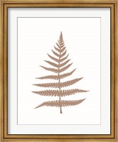 Framed Fern 1