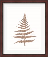 Framed Fern 1