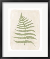 Framed Fern 3