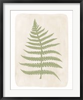 Framed Fern 3