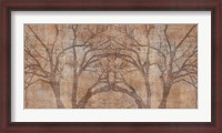 Framed Tree