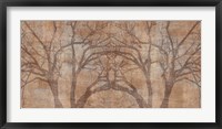 Framed Tree