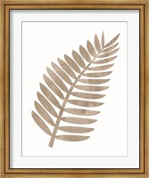 Framed Palm 1