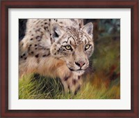 Framed Snow Leopard 4
