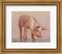 Framed Little Pig
