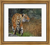 Framed Indo Chinese Tiger