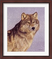 Framed Wolfportraitsnow.Jpg