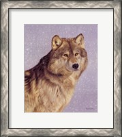 Framed Wolfportraitsnow.Jpg