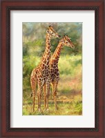 Framed Giraffe Love