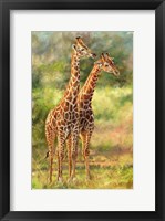 Framed Giraffe Love