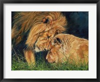 Framed Lion Love