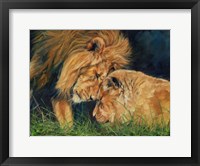 Framed Lion Love