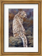 Framed Snow Leopard 2
