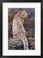 Framed Snow Leopard 2