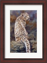 Framed Snow Leopard 2