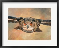 Framed Eagle Owl
