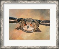 Framed Eagle Owl