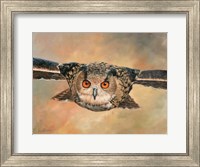 Framed Eagle Owl