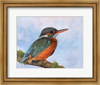 Framed Kingfisher 2