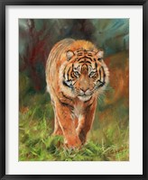 Framed Amur Tiger 2