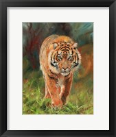 Framed Amur Tiger 2