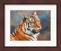 Framed Tiger On Crushed Colors