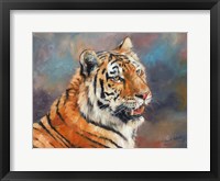 Framed Tiger On Crushed Colors