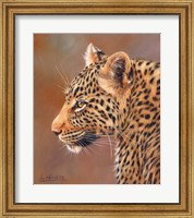 Framed Leopard Looking Left