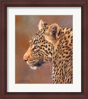 Framed Leopard Looking Left