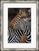 Framed Zebras