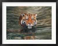 Framed Tiger Water Swimming