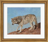 Framed Red Rock Wolf