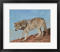 Framed Red Rock Wolf