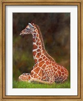 Framed Giraffe Resting