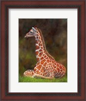 Framed Giraffe Resting