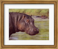 Framed Hippo
